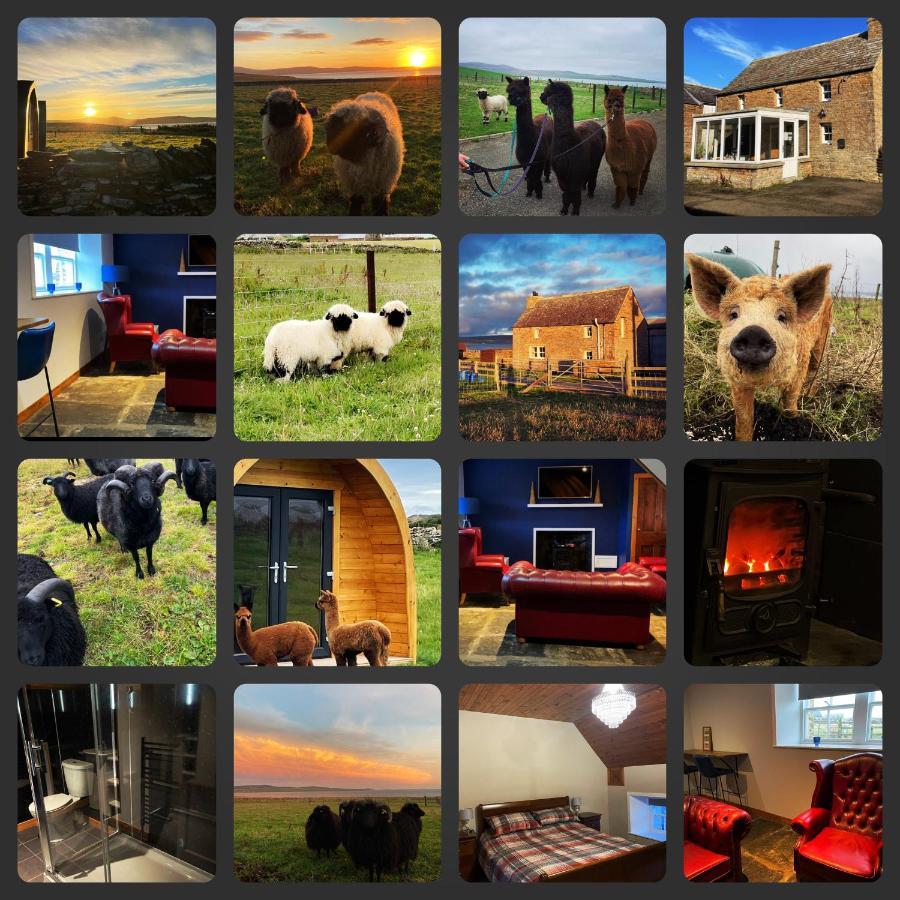 Orkney Farm Bothy Villa Stromness Bagian luar foto